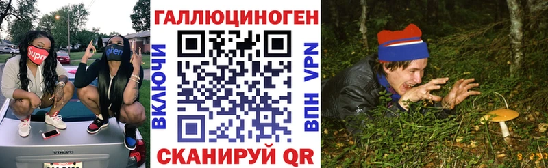 Псилоцибиновые грибы Psilocybe  даркнет наркотические препараты  Курчатов  omg вход 